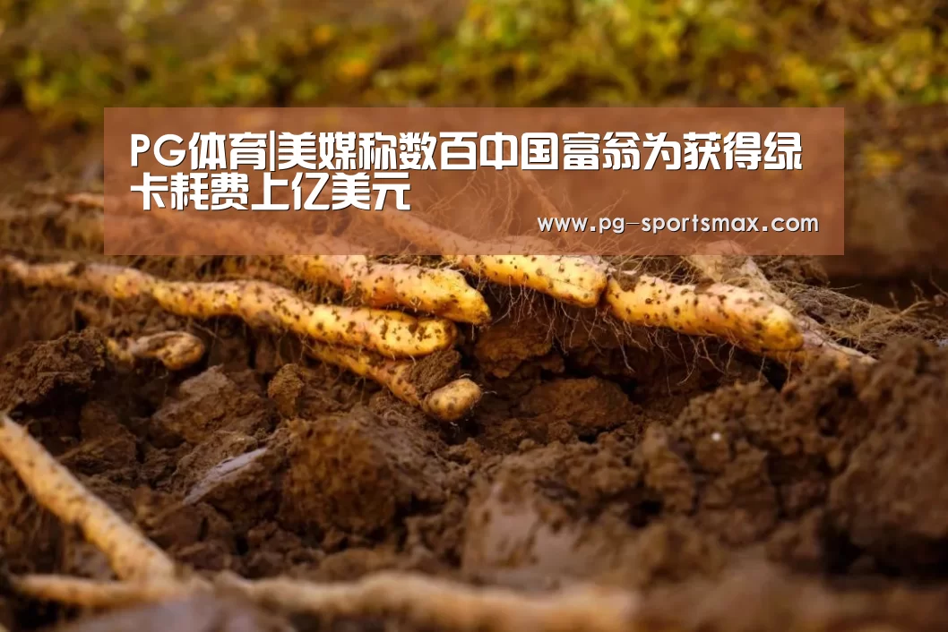 PG体育|美媒称数百中国富翁为获得绿卡耗费上亿美元(图2) PG体育