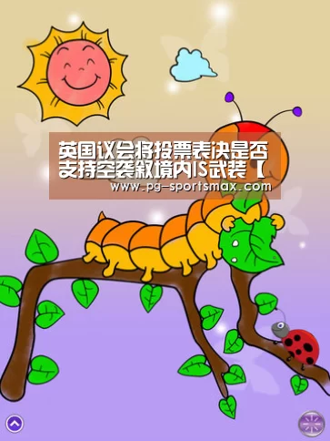 英国议会将投票表决是否支持空袭叙境内IS武装【PG竞猜】(图3) PG体育