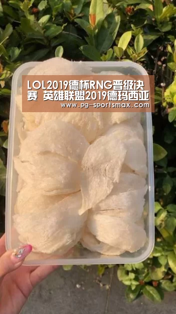 LOL2019德杯RNG晋级决赛 英雄联盟2019德玛西亚杯RNG与EDG会师决赛【PG篮球】(图1) PG足球